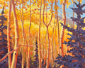 Oro Study